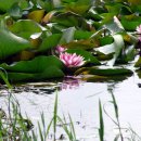 수미산정 이미지