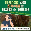 한우랑식품 이미지