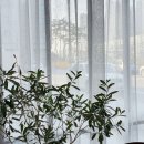 카페 마루리 이미지