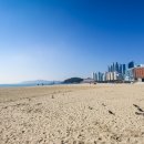 겨울바다 이미지