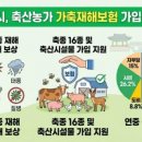 안정축산 웹이코노미