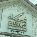 사계절 유수풀이용가능한 가평 라포하임키즈풀빌라 이용 꿀팁