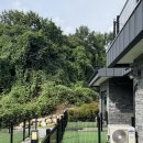 경포몽애견펜션 이미지