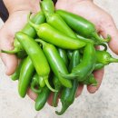 은성농장 이미지