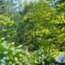 천왕산가든 이미지