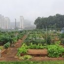 선학텃밭화장실 이미지