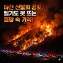 무릉도원면-26 네이버블로그