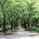 개나리어린이공원 네이버블로그