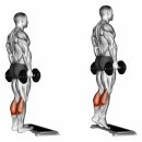 턴피트니스 이미지