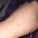 한시옆골 이미지