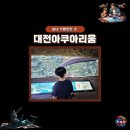 대전아쿠아리움 방문 추천 그러나 연간회원권 추천하지 않는 이유
