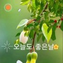 오늘도좋은날
