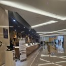 ONE STOP SERVICE | 강원도 정선 호텔 어디가 좋을까? 5성급이 10만원대 하이원 컨벤션 호텔 시설 및 주변 맛집 가이드