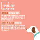 밀양아리랑펜션 이미지