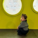 너한쌈나한쌈 이미지