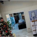 로얄펫 강아지분양 고양이분양 전주본점 이미지