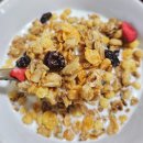 6190 | 내돈내산 리얼그래놀라 오리지널 후기 칼로리 당류 다이어트 식단 가격