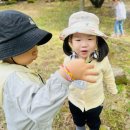사회복지법인 행복한 오늘 이미지
