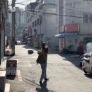 난희1호 네이버블로그