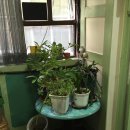 향기다방 | 찐 옛 감성! 대전 카페 “중앙다방” 방문 후기