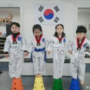 금장태권도장 이미지