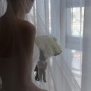 씨즈더데이 이미지