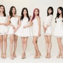 베리굿 스타뉴스