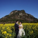 🤵💍👰(웨딩스냅6) 제주 오가닉스냅 패키지 촬영+원본 수령 후기(가성비, 가심비 최고)