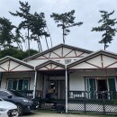 안면도위드유 | [내돈내산] 태안 안면도 위드유펜션 숙박 솔직후기(스파,풀빌라,바베큐)