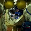 도킹치킨 이미지