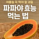 파파야