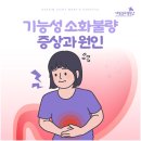 [대림성모병원] 기능성 소화불량 증상과 원인 이미지