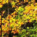 남도약수터 이미지