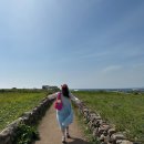 [공지] [제주 3박4일 여행 코스] 서귀포·가파도·함덕｜맛집·숙소·감성 스팟 일정 총정리