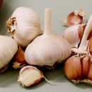 청풍명월농장 이미지