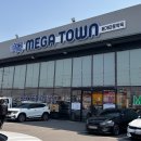 만세로약국 | 평택 만세로 대형약국 메가타운약국 가격정보 및 방문후기