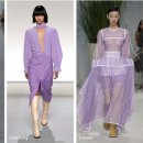 아이리스소프트 이미지