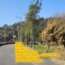 제주대학교교육대학 부설초등학교 | 화북일동 오현고등학교이웃 '별도봉''제주도전원'가능한 공동주택및개발부지 '토지'매매!!