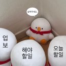 끄적끄적 이미지