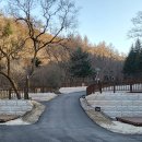 국립자연휴양림관리소(중미산자연휴양림) 티스토리