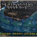 세인모터스 이미지