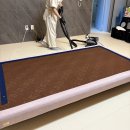 천사희망케어 | 광주 임산부 가사돌봄 서비스 ｜ 소파·매트리스 청소 업체 선정의 중요성