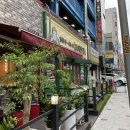 보배반점용인 이미지