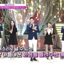 메이트리(MAYTREE)