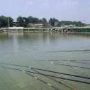 개미낚시터 이미지