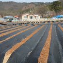 병원농장 이미지