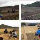 시정농장 이미지