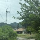 스테이수목 | 마운틴뷰+프라이빗 수영장+애견동반까지! 가평 풀빌라 ‘스테이수목’ 스테이6 / 스테이4 비교 찐후기