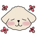 솔이네국수