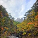 오류소공원 내(1) | 강원도 설악산 단풍여행 추천 | 비룡폭포코스 후기 소공원 주차 꿀팁 단풍 시기 추천